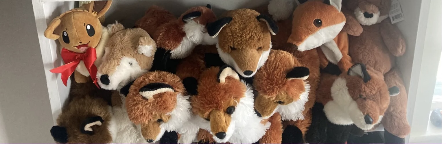 Nineteen stuffed foxes from the poem