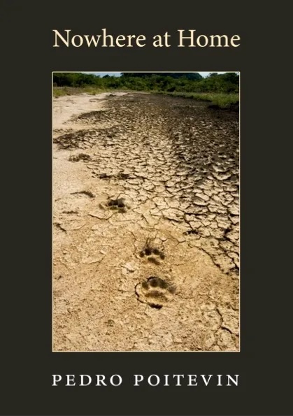 Nowhere at Home book cover